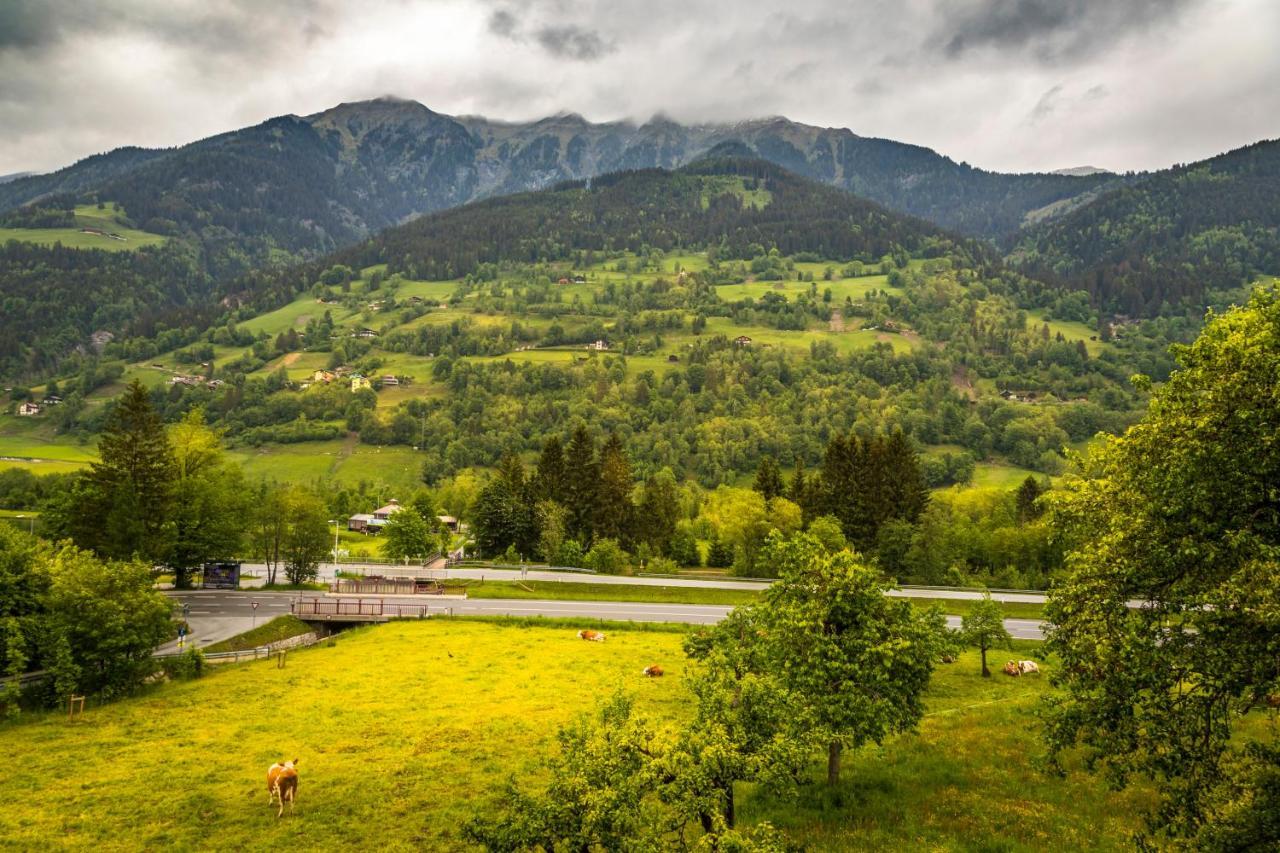 Bio Bauernhof Schweizerhof Farm stay
