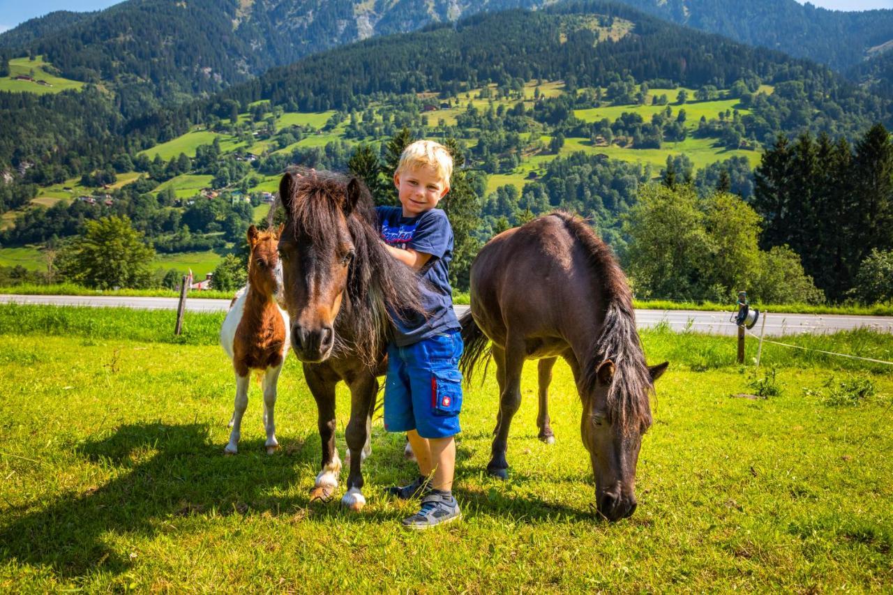 Bio Bauernhof Schweizerhof Farm stay Bad Hofgastein