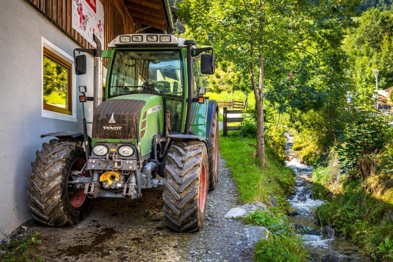 Bio Bauernhof Schweizerhof Farm stay *