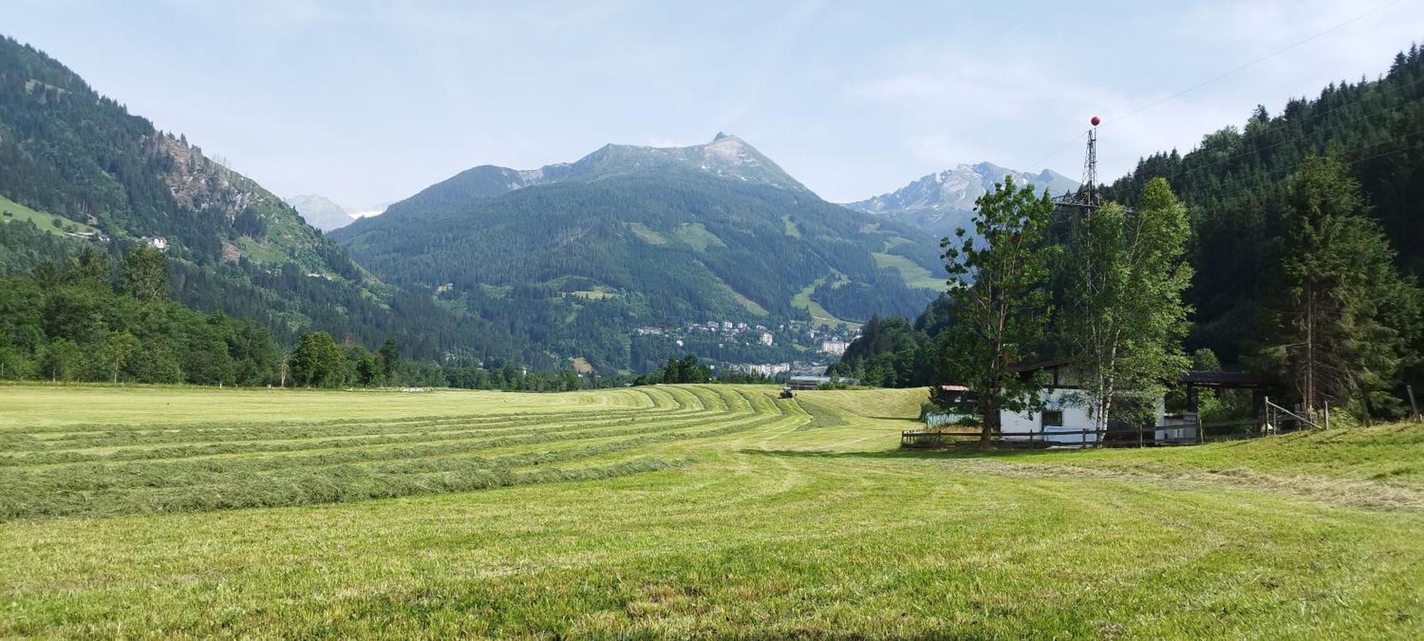 Farm stay Bio Bauernhof Schweizerhof